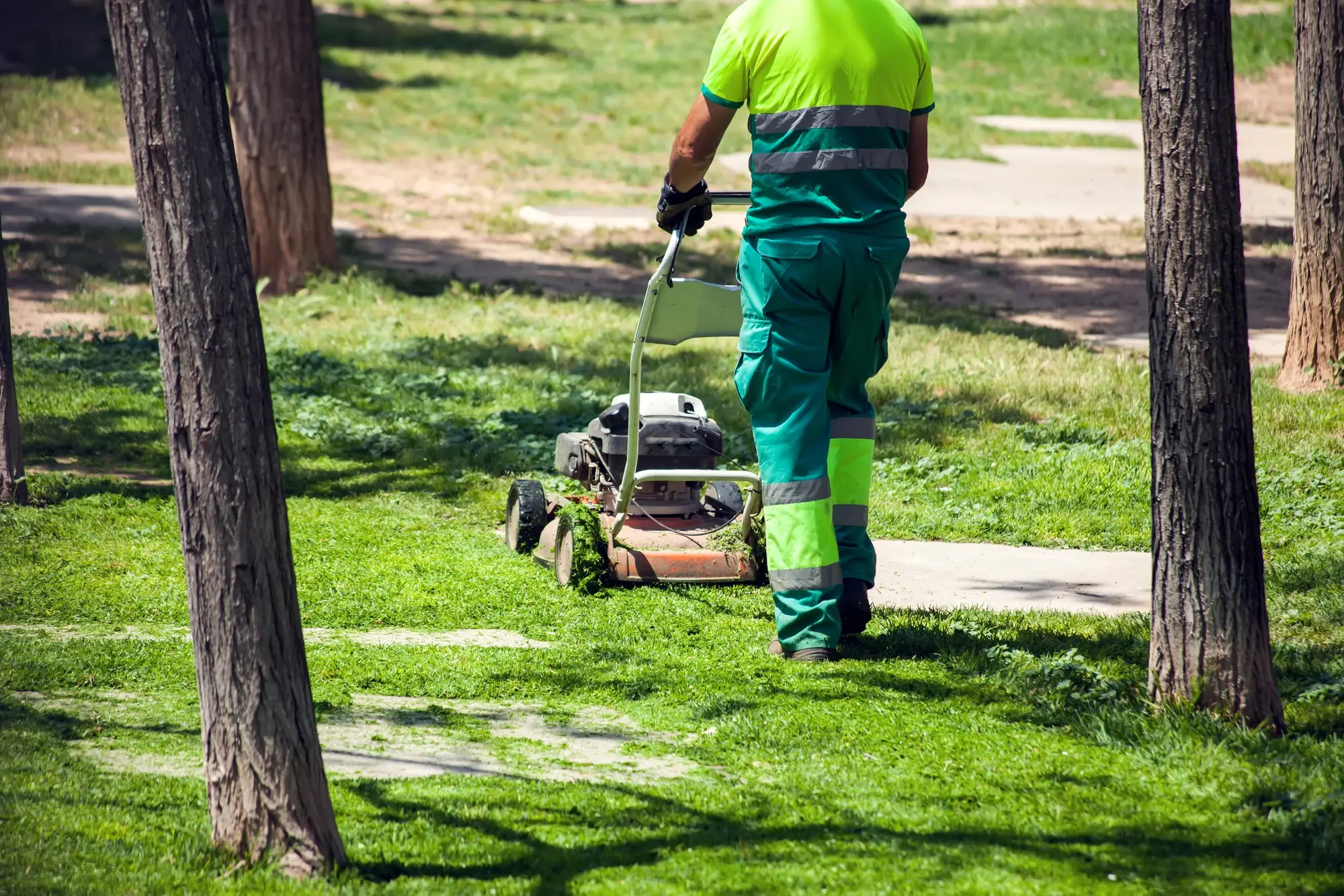 Création et entretien paysager à Chalon-sur-Saône et Givry 🌿Nous concevons et réalisons des espaces naturels et durables Forêts fruitières, jardins en permaculture.