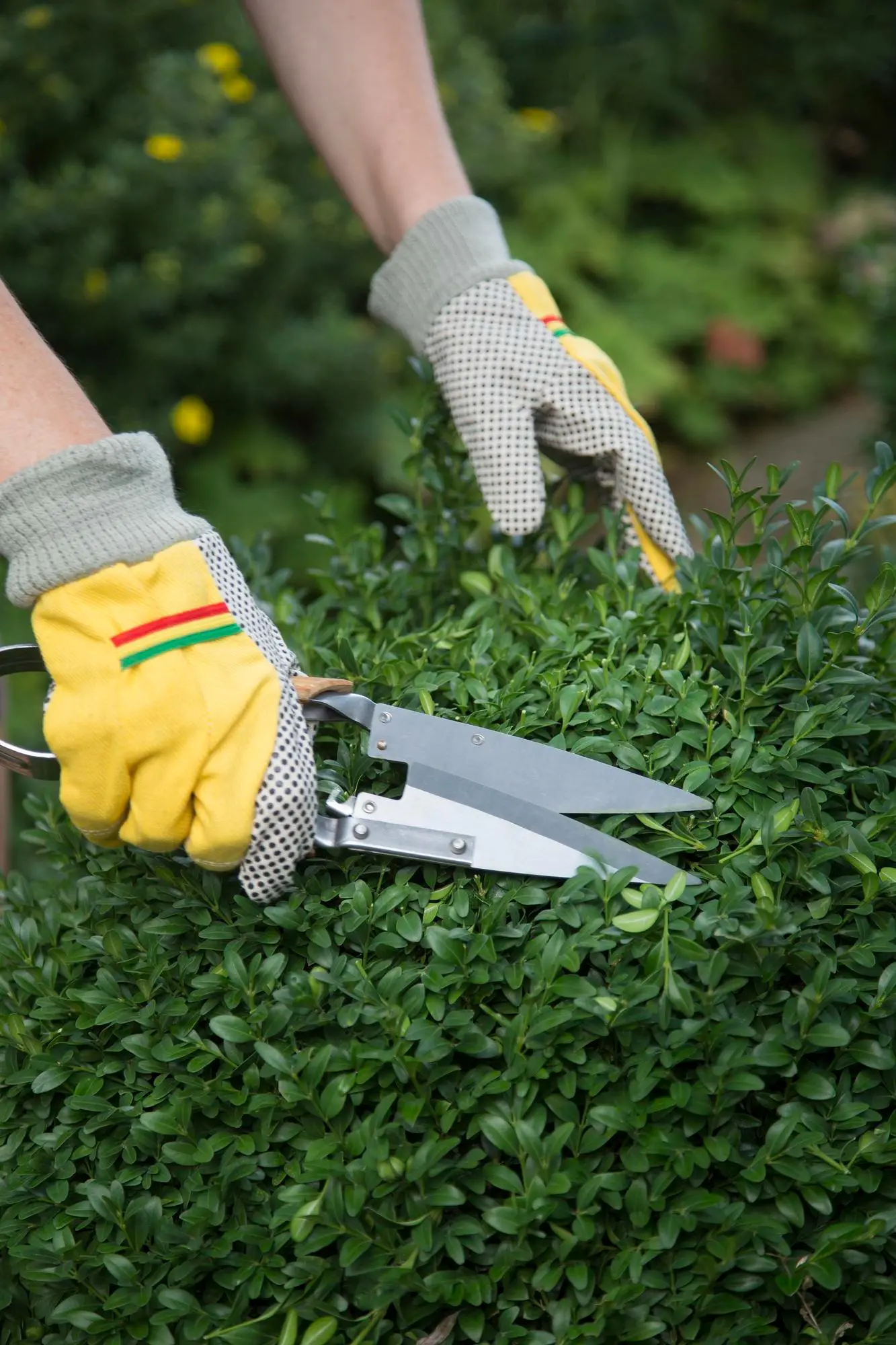 Paysagiste à Prêteville – Horizon Vert : Entretien de jardin et aménagements extérieurs dans un rayon de 15 km.